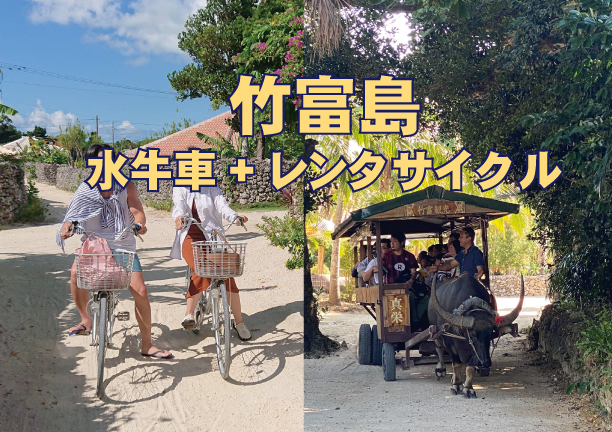 竹富島 水牛車観光モウモウコース+レンタサイクル