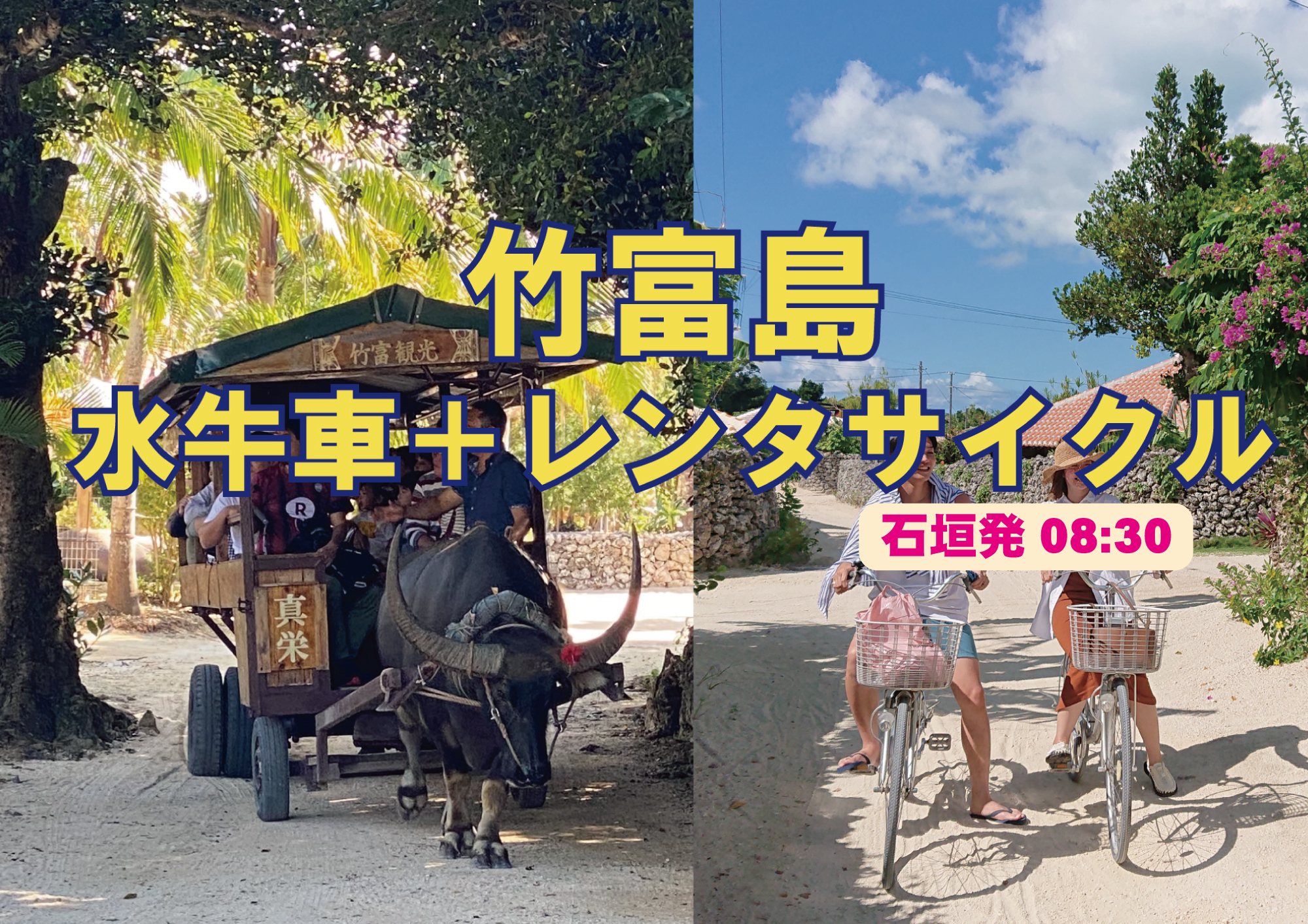 竹富島 水牛車観光モウモウコース+レンタサイクル