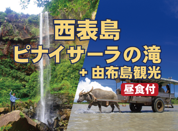 西表島ピナイサーラの滝＋由布島観光
