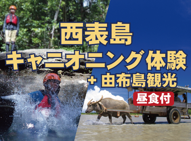 西表島半日キャニオニング体験＋由布島観光