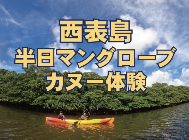 西表島半日カヌー体験